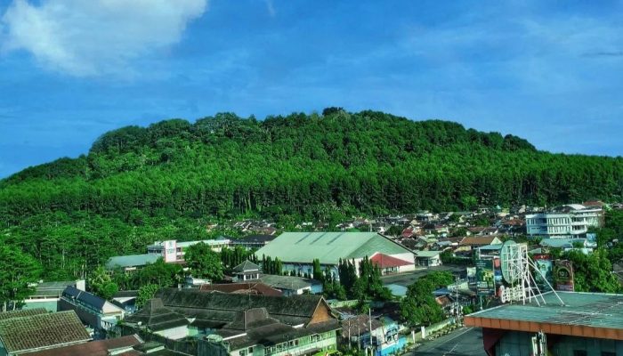 Dijuluki Paku Tanah Jawa, Berikut 4 Fakta Menarik Tentang Gunung Tidar Magelang