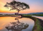 tempat refreshing di Salatiga