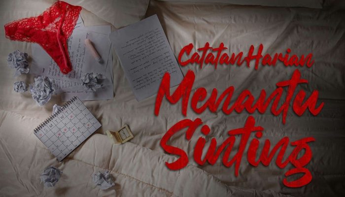 Segera Tayang di Bioskop! Berikut 4 Fakta Menarik Tentang Film Catatan Harian Menantu Sinting