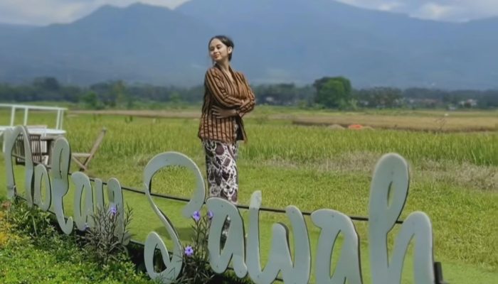 Viral 2024! Berikut Daya Tarik Tempat Makan Apik Dolan Sawah di Salatiga