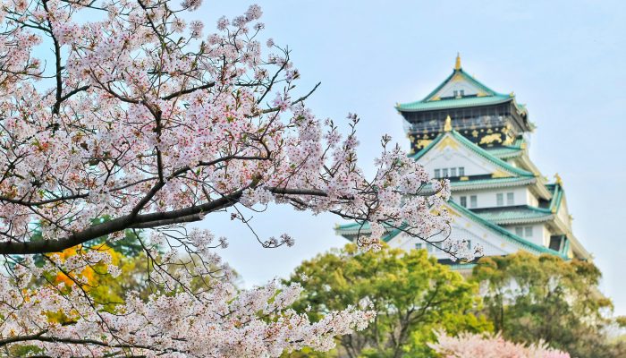 Disnakertrans Jateng Buka Program Magang Jepang Hingga Oktober 2024, Peluang Kerja bagi Lulusan SMA/K