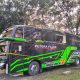 Bus Pariwisata