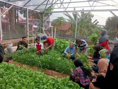 Karang Taruna Tinjomoyo Sulap Lahan Tidur Jadi Area Urban Farming, Tanam Aneka Sayur hingga Budidaya Ikan