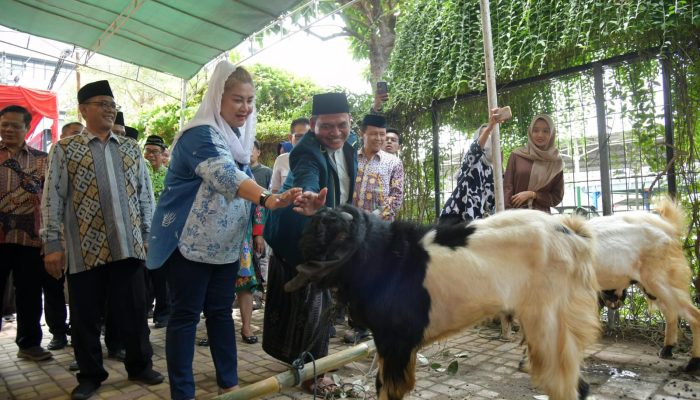 Serahkan Hewan Kurban Hingga ke Wilayah Pinggiran Semarang, Mbak Ita Berharap Pembagian Daging Merata