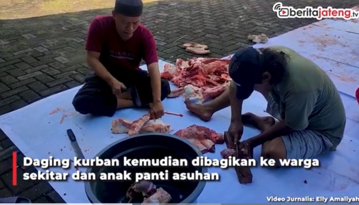 Video Aston Inn Pandanaran Semarang Kurban Sapi Limousin 300 Kilogram