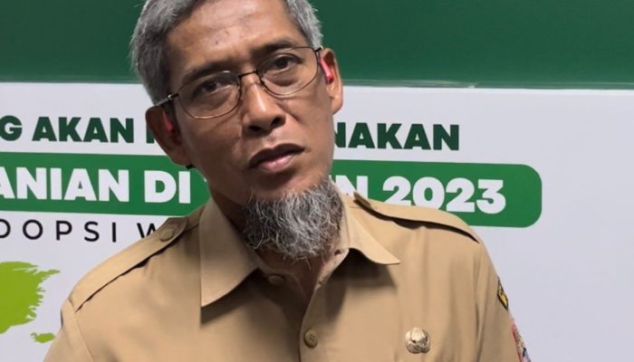 Harga Beras di Jateng Terombang-ambing, Sekda Ungkap Gegara Ulah Pemodal Besar