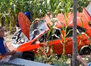 minibus terjun ke kebun jagung