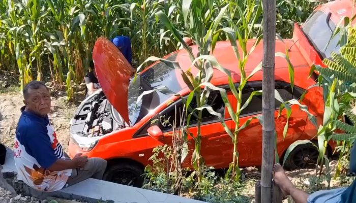 Minibus Terjun ke Kebun Jagung di Blora, Ternyata Ini Penyebabnya!