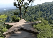 Eloknya Hutan Pinus Pangonan, Destinasi Wisata Alam Hidden Gem di Pati, Liburan Wajib Kemari!