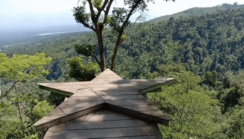 Eloknya Hutan Pinus Pangonan, Destinasi Wisata Alam Hidden Gem di Pati, Liburan Wajib Kemari!