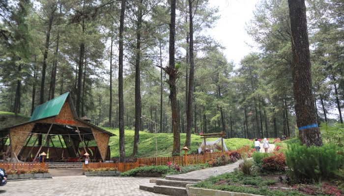 Deretan Wisata Terbaik di Banyumas buat Liburan Sekolah bersama Keluarga