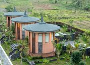 Penginapan dekat Candi Borobudur