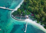 Serasa Liburan ke Bali! Berikut Daya Tarik Destinasi Wisata Pulau Panjang Jepara