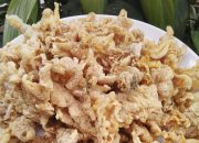 kuliner khas Boyolali