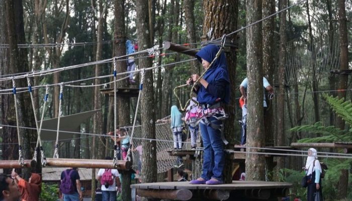 5 Daftar Wisata Kopeng Jawa Tengah Favorit Keluarga, Sudah Mampir Belum?