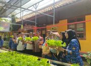 Canangkan Ketahanan Pangan, SMA Taruna Nusantara Pelajari Urban Farming di SMPN 39 Semarang