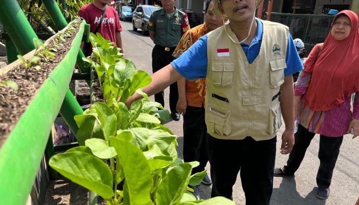 Pemkot Semarang Dorong Pemanfaatan Lahan Tidur untuk Urban Farming