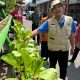 Pemkot Semarang Dorong Pemanfaatan Lahan Tidur untuk Urban Farming