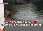 Video Antisipasi Gagal Panen, Stok Beras Blora Diklaim Cukup