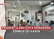 penderita DBD Kota Semarang