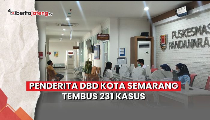 Video Angka DBD Kota Semarang Tembus 231 Kasus