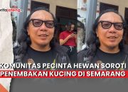 Video Komunitas Pecinta Hewan Soroti Penembakan Kucing di Semarang