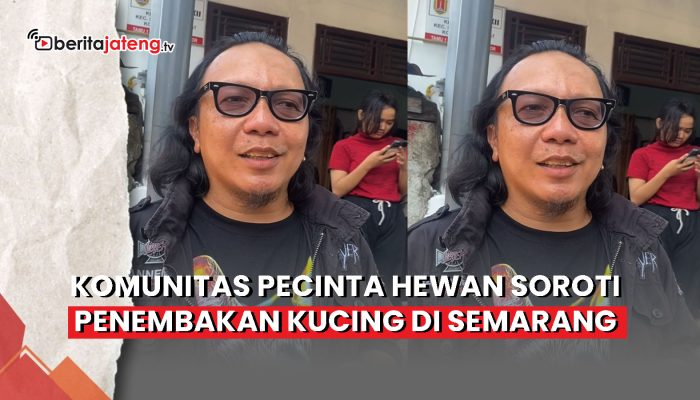 Video Komunitas Pecinta Hewan Soroti Penembakan Kucing di Semarang