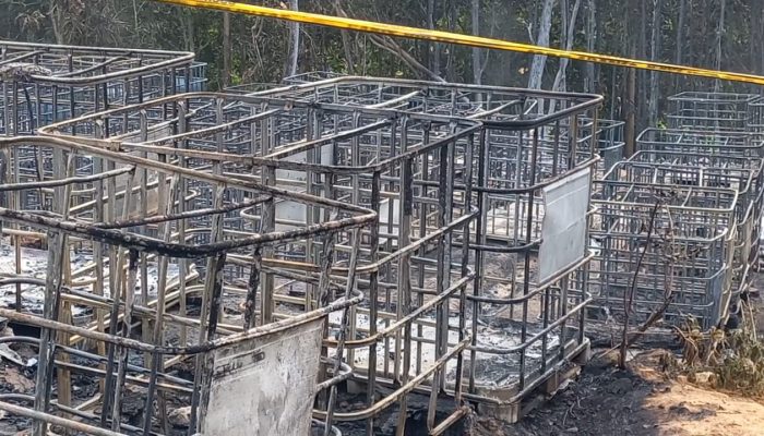Diduga Illegal Drilling Minyak Mentah, Kades dan Ketua BUMDes Plantungan Blora Dilaporkan ke Polisi