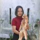 Kucing Semarang