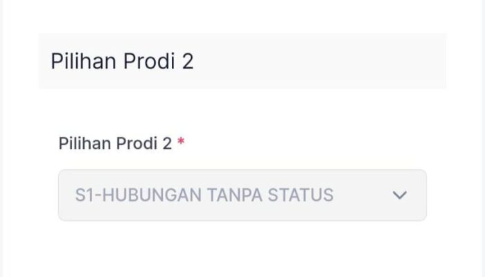 Walah! Situs Undip Diretas dan Tampilkan Jurusan Aneh-aneh, Ada S1 Memijat hingga S1 Cek Khodam