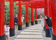 Rekomendasi Wisata Edukasi, Dairyland On The Valley Cocok untuk Liburan Bersama Buah Hati