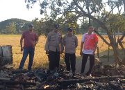 Si Jago Merah Melahap Rumah Warga di Pemukiman Padat Penduduk di Blora, Begini Kondisinya