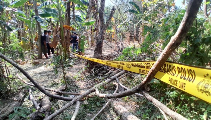 Geger Penemuan Mayat Wanita Bertato Kupu-kupu di Demak, Luka di Wajah dan Punggung