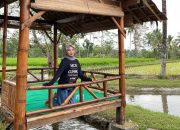 Sawah Kakung Resto Magelang, Hidden Gem Piknik Corner Terbaru dengan View Alam