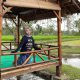 Sawah Kakung Resto