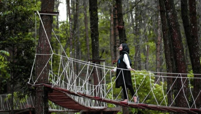 Tawarkan Spot Foto Instagramable, Berikut Daya Tarik Wisata Hutan Pinus Kragilan Magelang