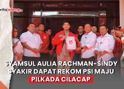 Syamsul Aulia