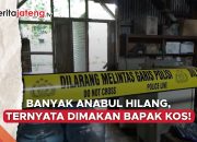 Video Banyak Anabul Hilang, Ternyata Dimakan Bapak Kos!
