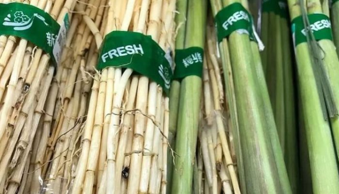 Gunakan Bahan Herbal, Ini Cara Efektif Atasi Batu Ginjal Menurut dr. Zaidul Akbar