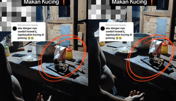 Viral Bapak Kos di Gunungpati Semarang Makan Kucing Milik Penghuni, Ngaku untuk Obati Diabetes