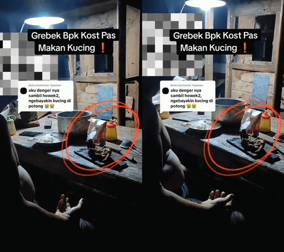 Bapak Kos Makan Kucing