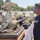 Pameran Bonsai