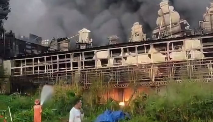 Kebakaran Landa Tempat Wisata Taman Bunga Celosia di Kabupaten Semarang, Ini Penyebabnya