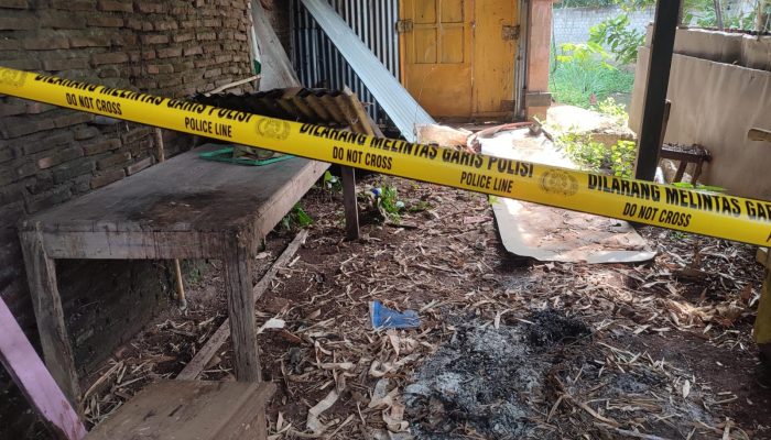 Viral Bapak Kos di Semarang Kepergok Makan Daging Kucing, Begini Cerita Lengkapnya