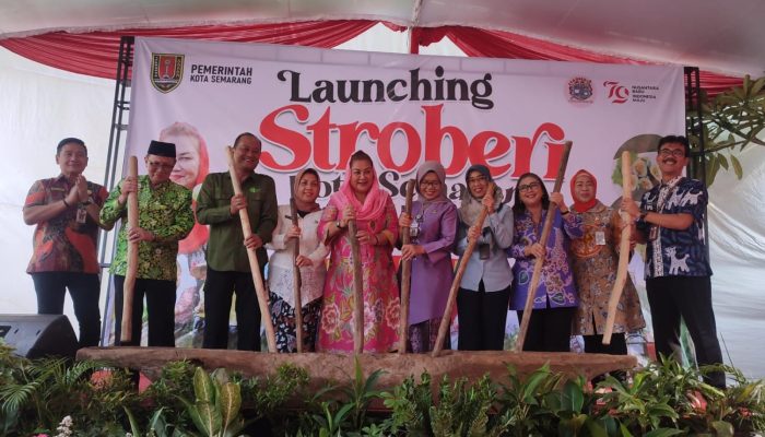 Tingkatkan Pengawasan Pangan, Dinhanpan Kota Semarang Bentuk 691 Kader Dermawan