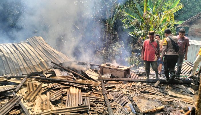 Kebakaran Hebat Hanguskan Kandang di Gunungpati Semarang, 23 Ekor Kambing Mati