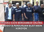 Video Gegara Kaos Bergambar Anjing, Anggota Perguruan Silat Main Keroyok