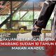bapak kos makan daging kucing