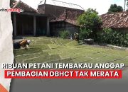 Video Ribuan Petani Tembakau Demak Anggap Pembagian DBHCT Tak Merata