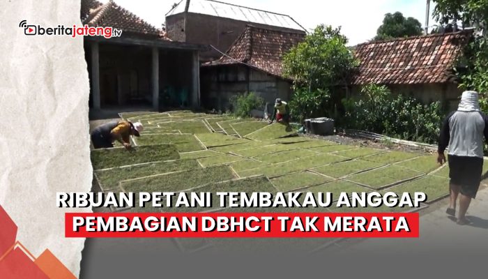 Video Ribuan Petani Tembakau Demak Anggap Pembagian DBHCT Tak Merata